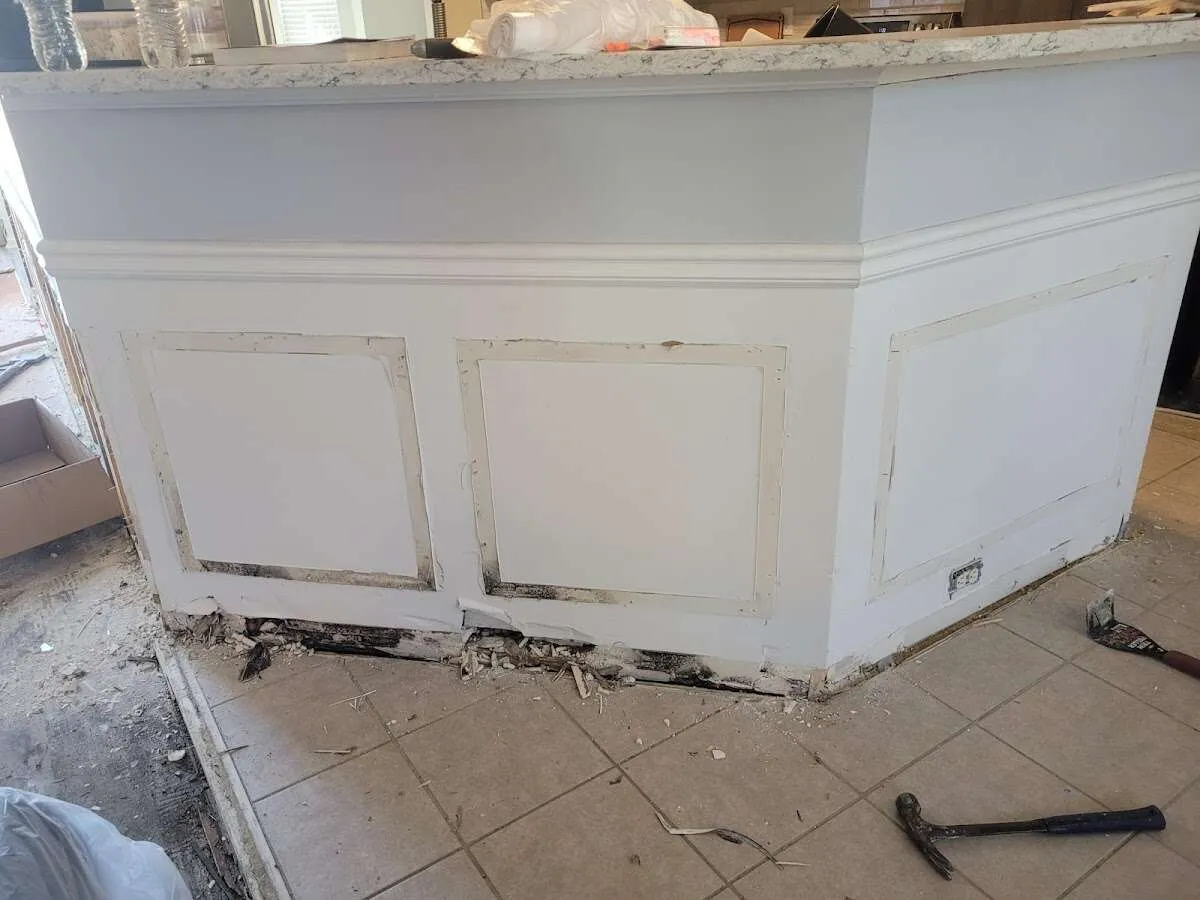 Water damage and mold on kitchen during Mold Inspection & Testing in Delhi